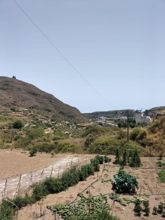 维加-德圣马特奥Casa Azul Mountain Retreat公寓 外观 照片