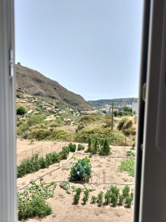 维加-德圣马特奥Casa Azul Mountain Retreat公寓 外观 照片
